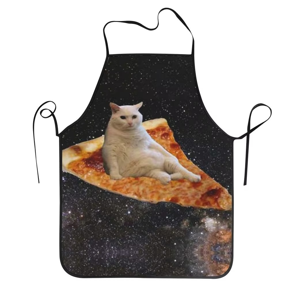 1PC Unisex Space Pizza Cat Apr - Home Cooking For Cats recensie en prijs