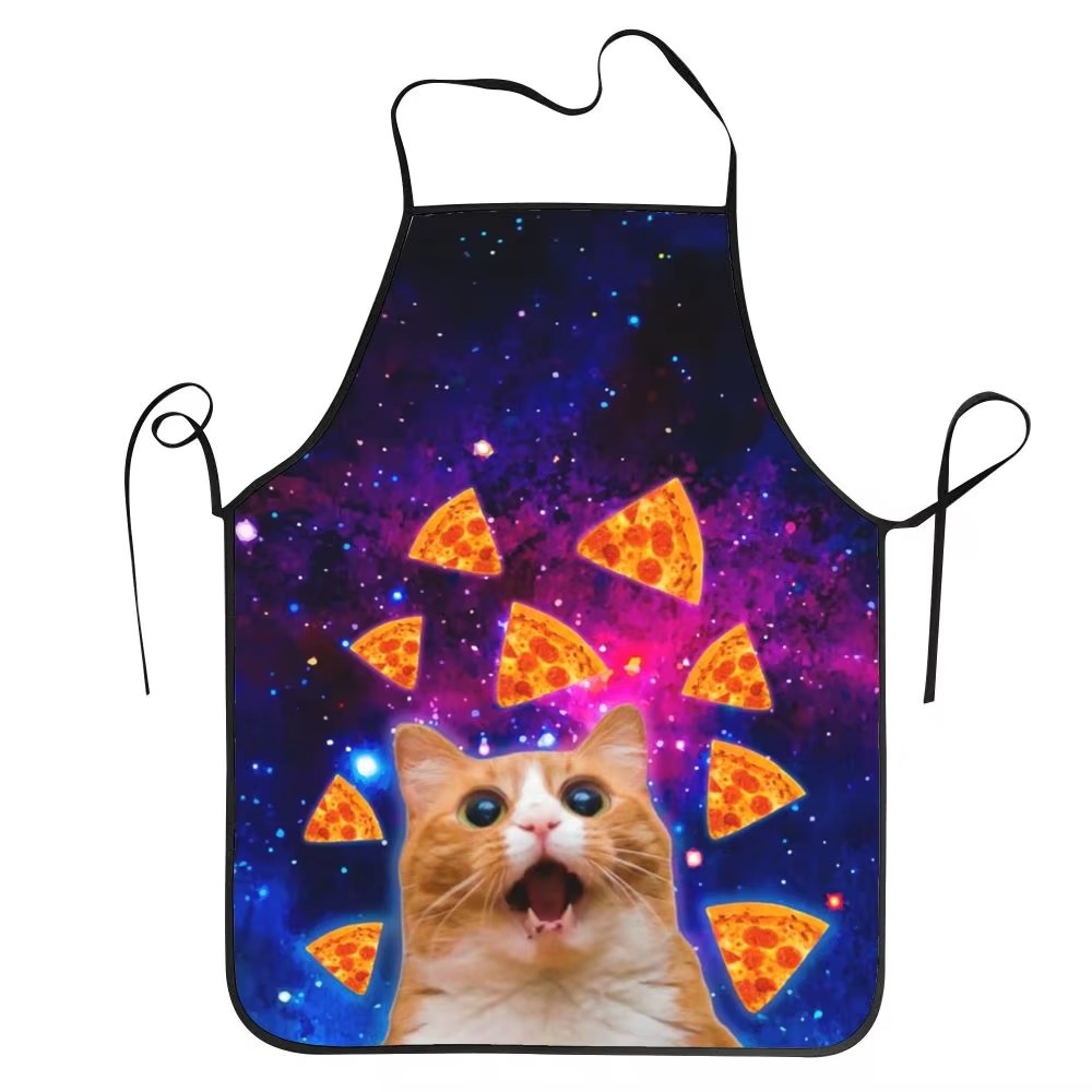 1PC Unisex Space Pizza Cat Apr - Home Cooking For Cats recensie en prijs
