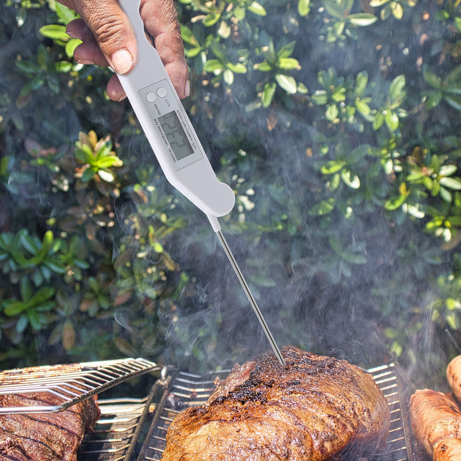 Folding Electronic Thermometer - Home Cooking Help recensie en prijs