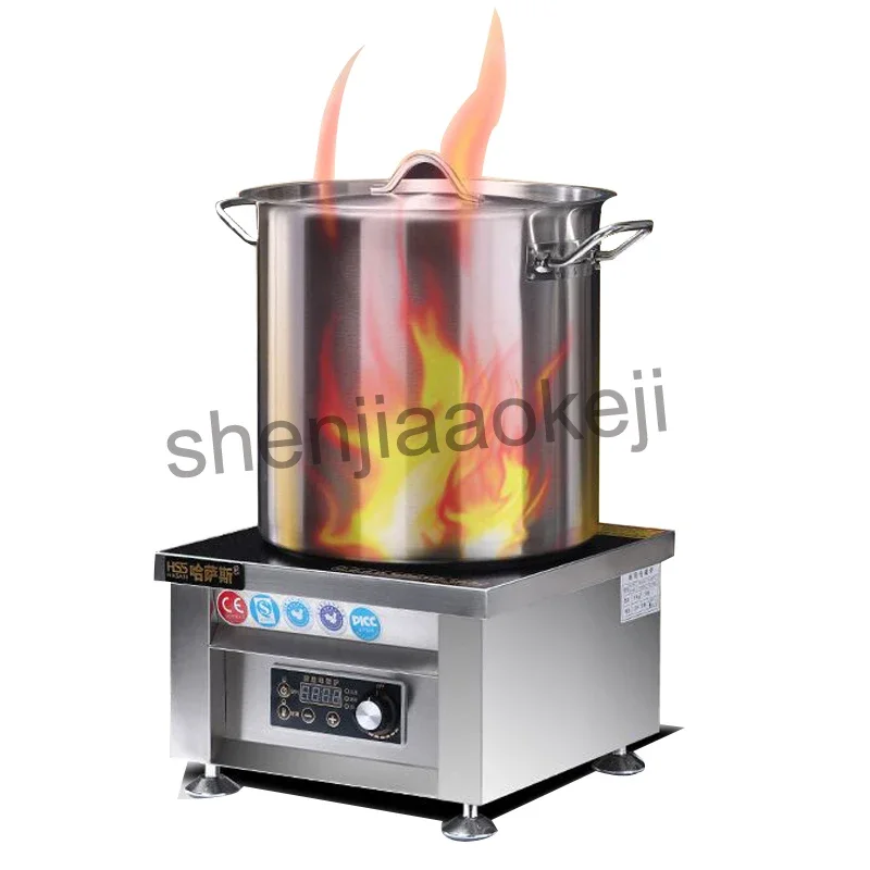Home Electric Induction Cooker - Home Cooking Business recensie en prijs
